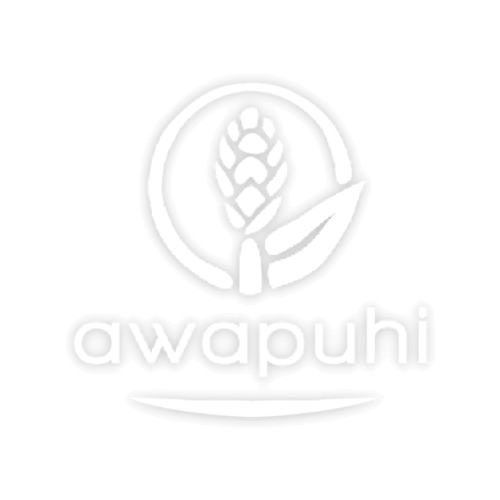 Abbildung des Logos unseres Partnerproduktes Awapuhl.